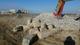 Крашеры под спецтехнику  Terex